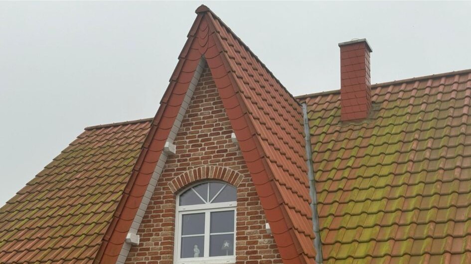 Dach vor der Reinigung