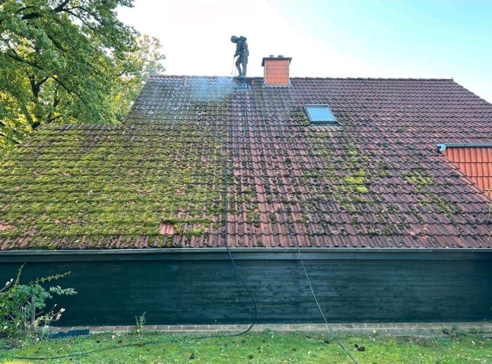 Dach vor der Reinigung